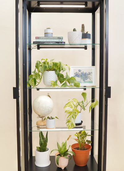 Black three tiered plant set up with 3 Soltech Groves connected using Soltech Grove connector kit