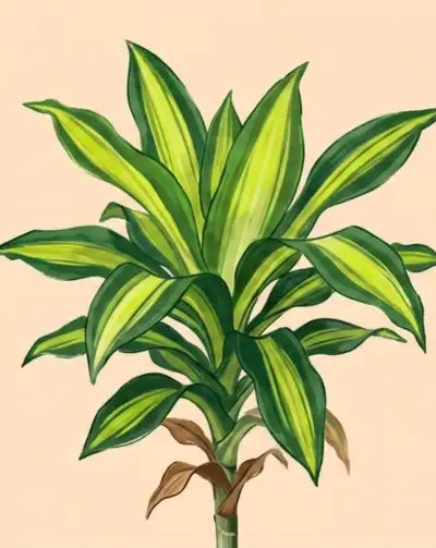 Illustration of a plant with green and yellow leaves on a beige background