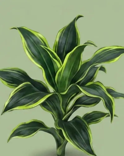 Green plant with yellow edges on a light green background