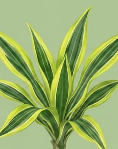 Variegated green and yellow leaves on a light green background