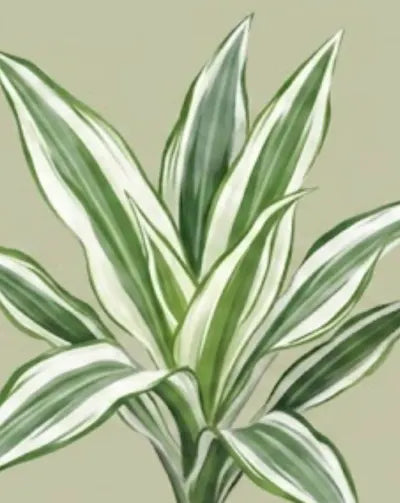 Close-up of a plant with green and white leaves on a beige background