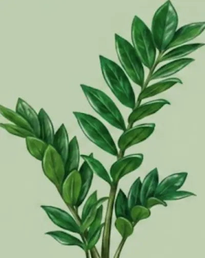 Illustration of a branch with green leaves on a light green background