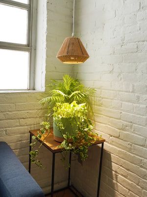 Close up of Soltech Walnut Ferrara lampshade over potted plant