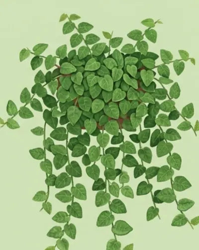 Hanging green plant on a light green background