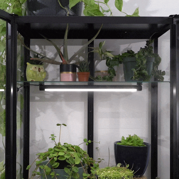 Stylowa lampka wesprze wzrost roślin i upiększy domowe wnętrza