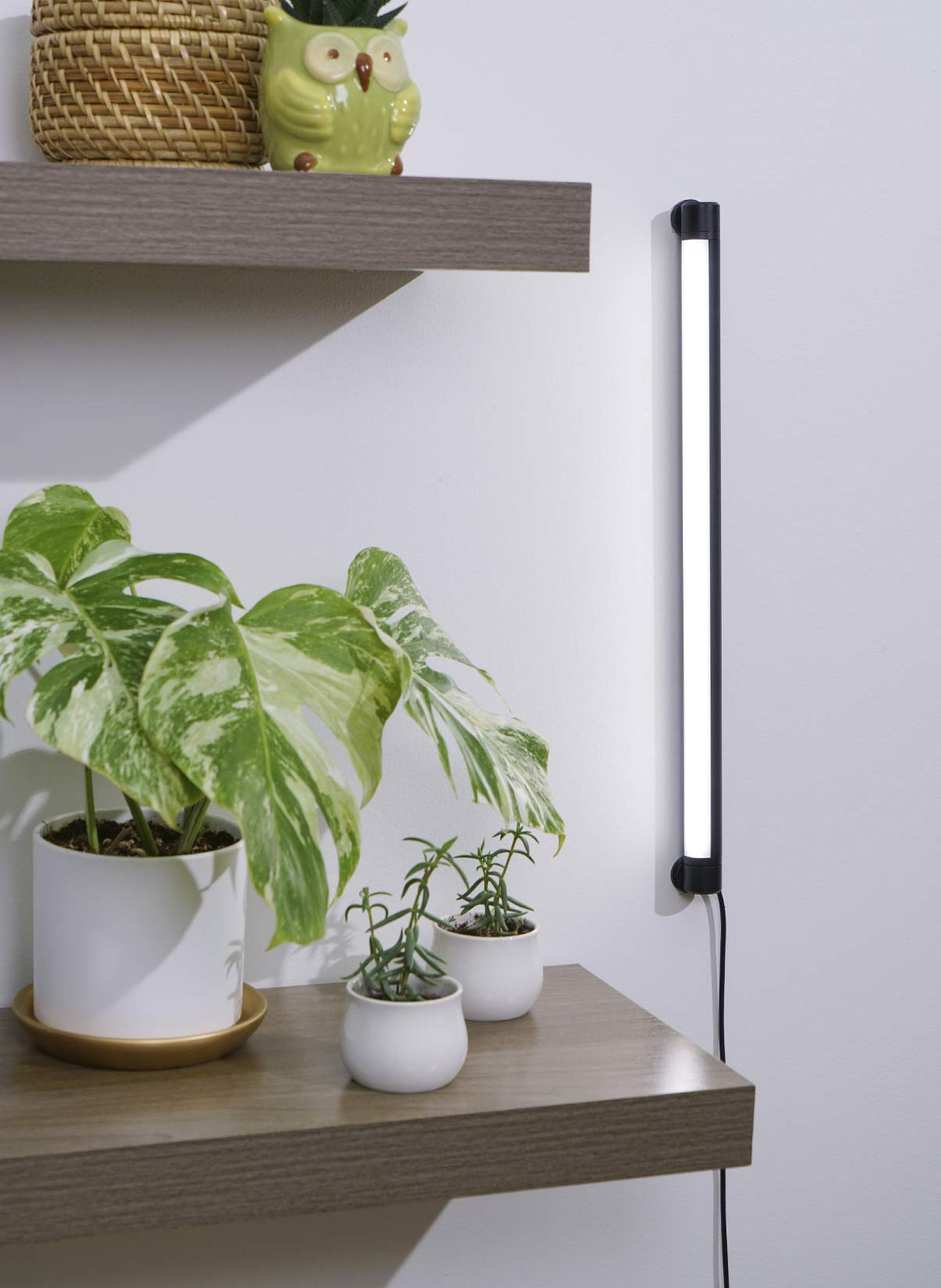 wall mounted plant grow light Soltech Solutions- Grove LED Grow Light, White