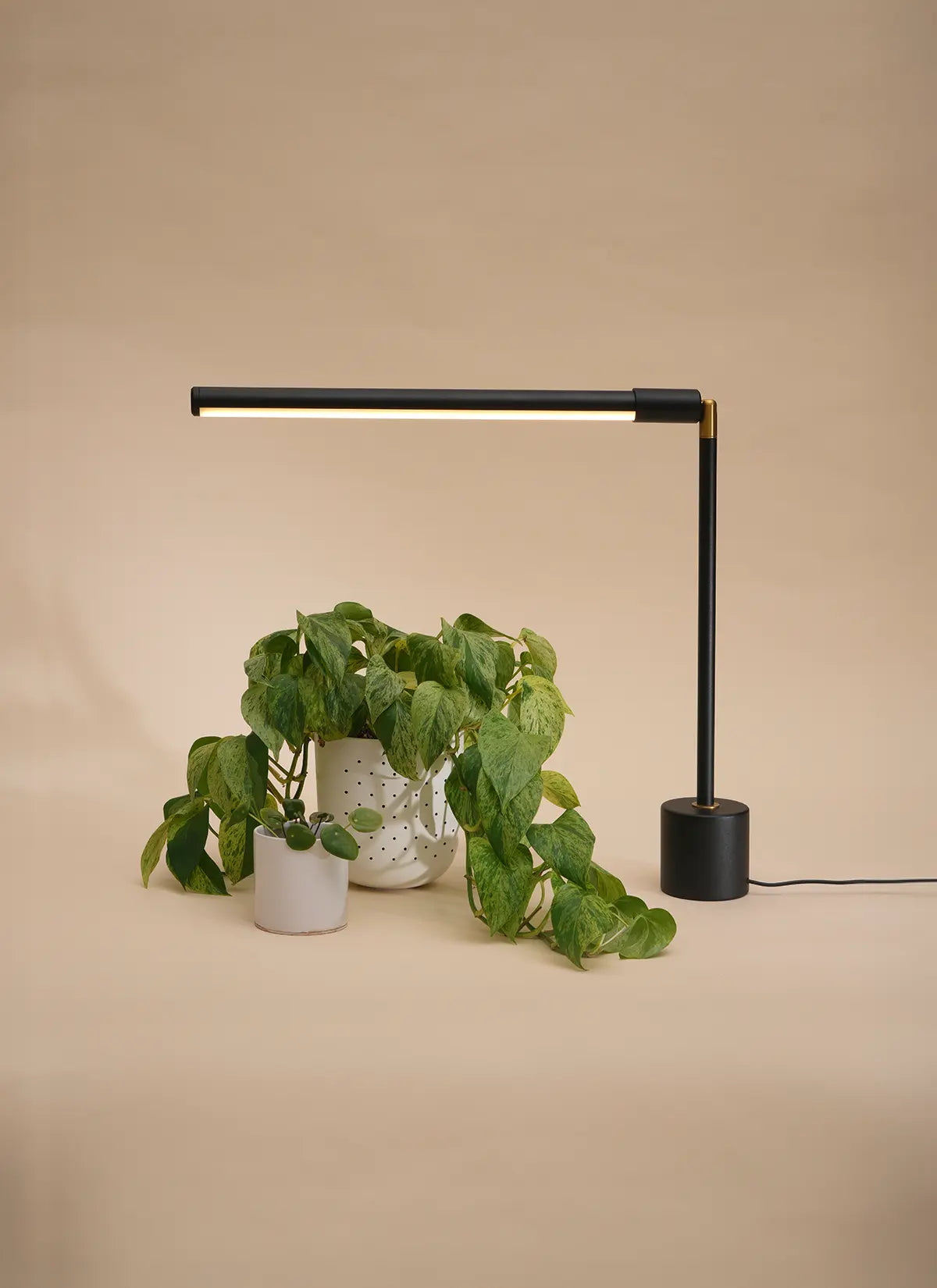 led house plant Versa™ Tabletop Grow Light