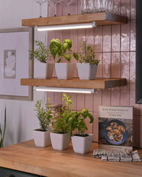Large Aspect Grow Light