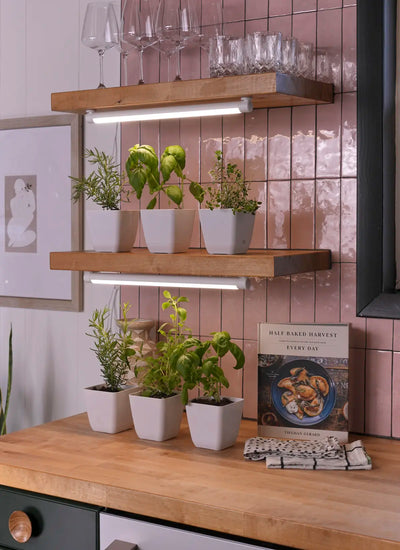 Wooden shelves on a pink tiled wall hold glasses and potted herbs. Soltech Groves mounted above each shelf. A cookbook and kitchen towel rest on a wooden counter below, creating a cozy kitchen vibe.