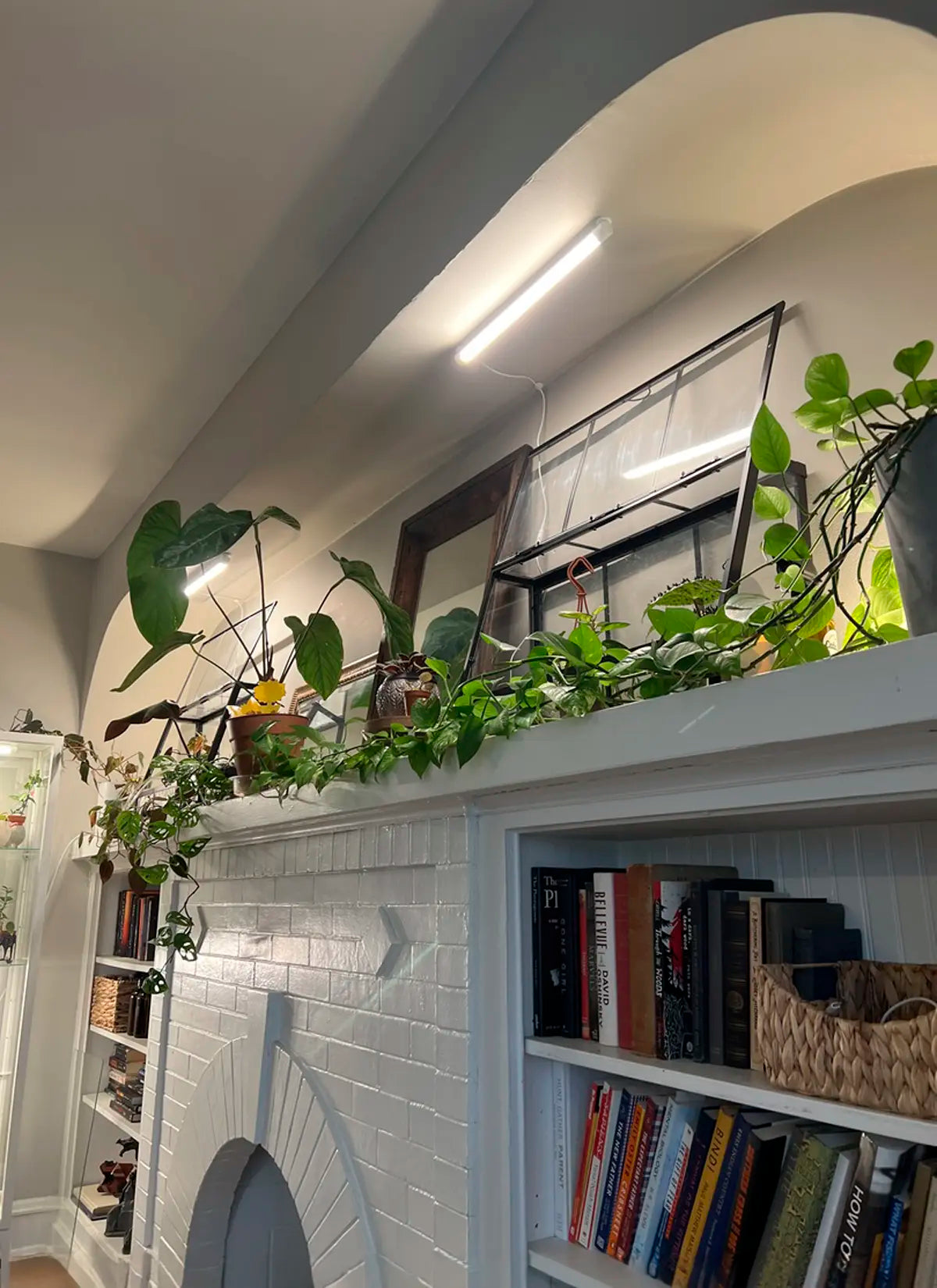 plant rack with lights Grove Double Bundle