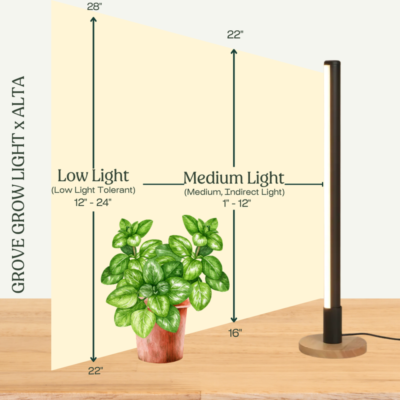 Grow Light Distance Chart