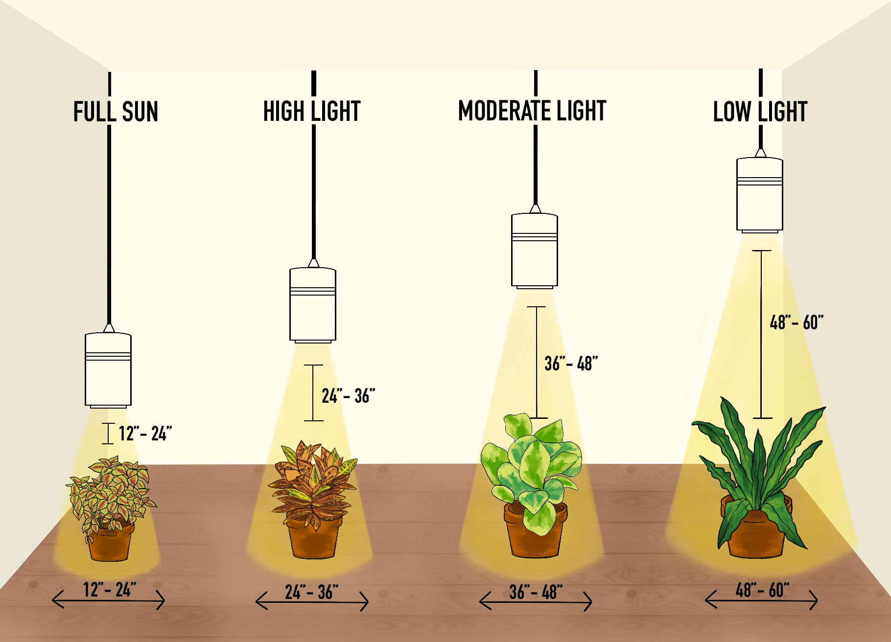 Hanging Heights for the Large Aspect Plant Light