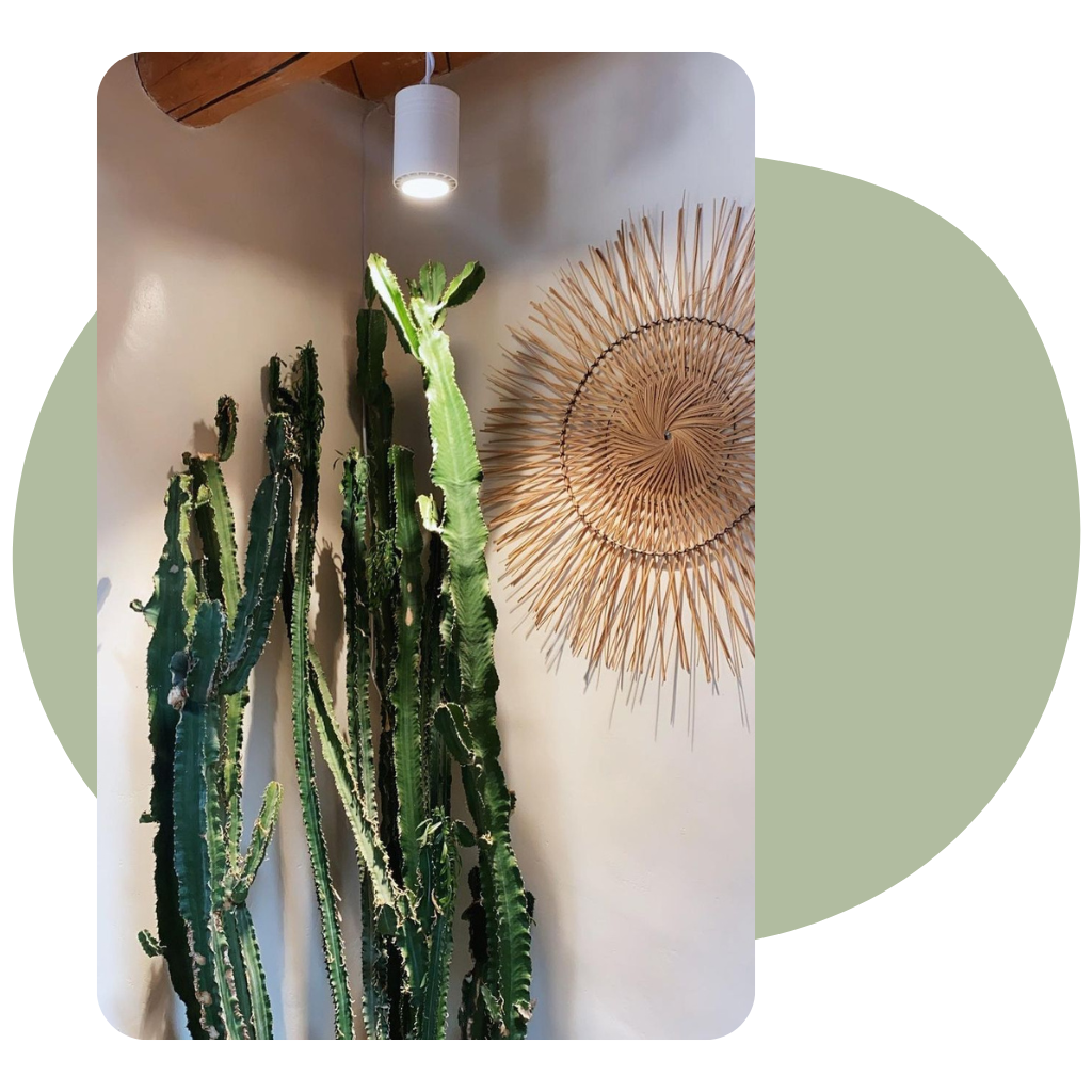 Indoor Plant Lighting For Home and Commercial Decor - Soltech