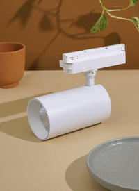White Soltech Highland track light