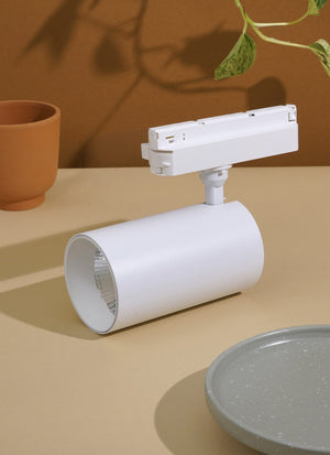 White Soltech Highland track light