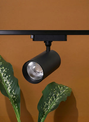 Soltech Highland track light fixture on a brown wall with a plant leaf in the foreground