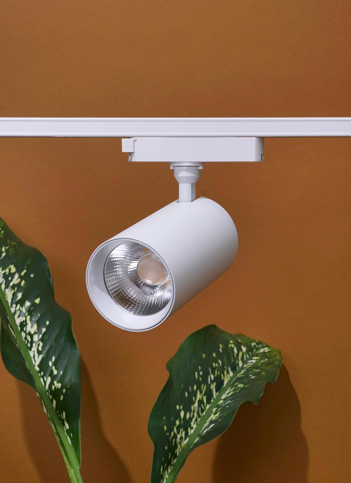 White Soltech Hardwired Highland Track Light System mounted on a rail.