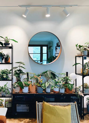 lights for house plants Refurbished Highland™ Track Light - Lightly Loved