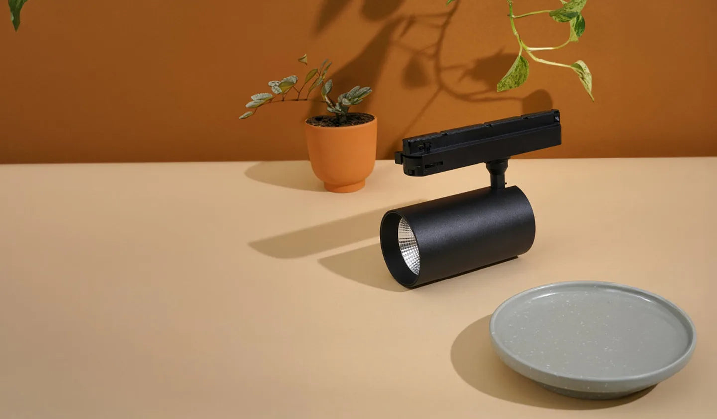 Black Soltech Highland on a beige surface with a plant and gray plate in the background