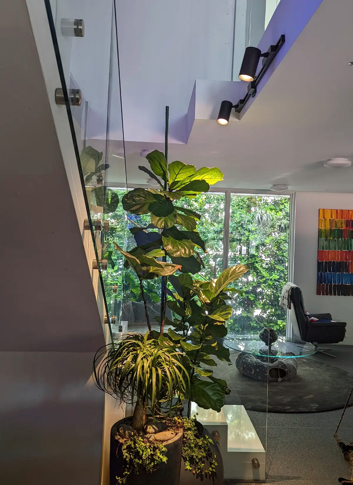 grow lights for indoor plants nearby Highland Track Light System Black Hardwired Wide (60 Degrees)