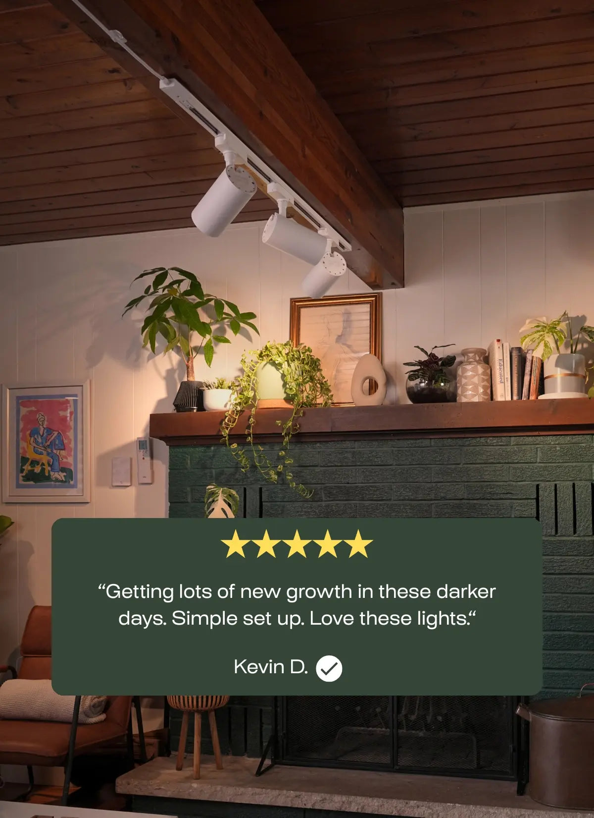 Indoor setting with plants and a shelf, featuring a five-star rating and review from Kevin D.