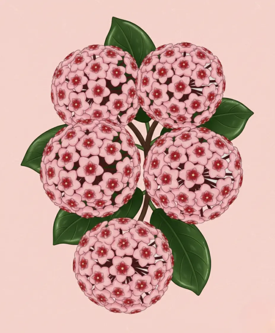 Illustration of pink flowers with green leaves on a pink background