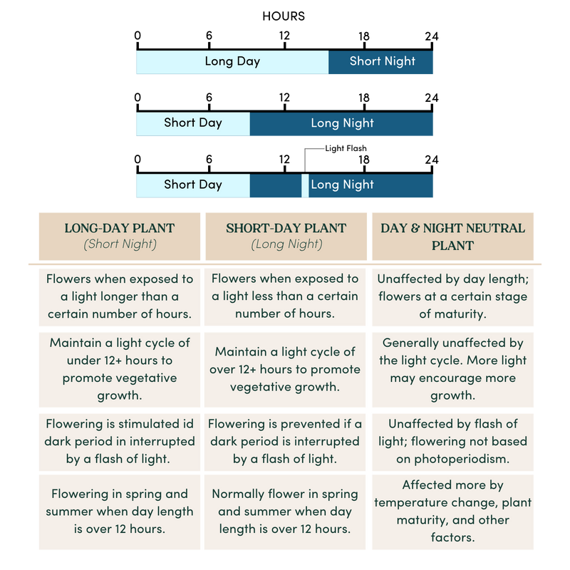 How Long Should A Grow Light Be On soltech.com