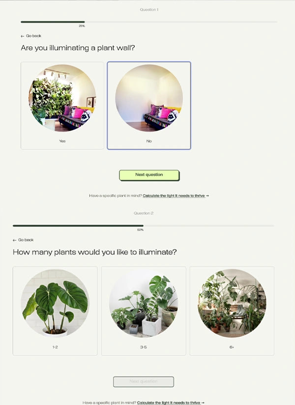 Lighting Quiz