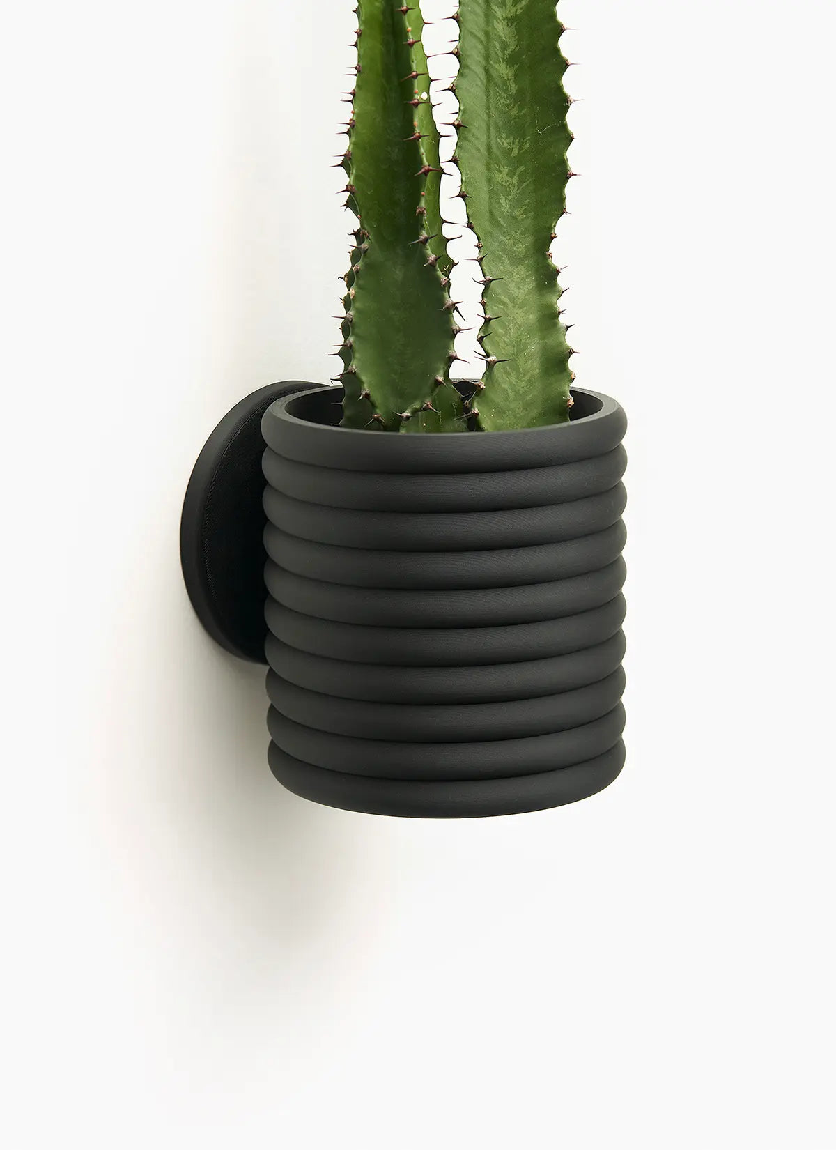 The Wall Poppy - LoftedGoods Wall Planter