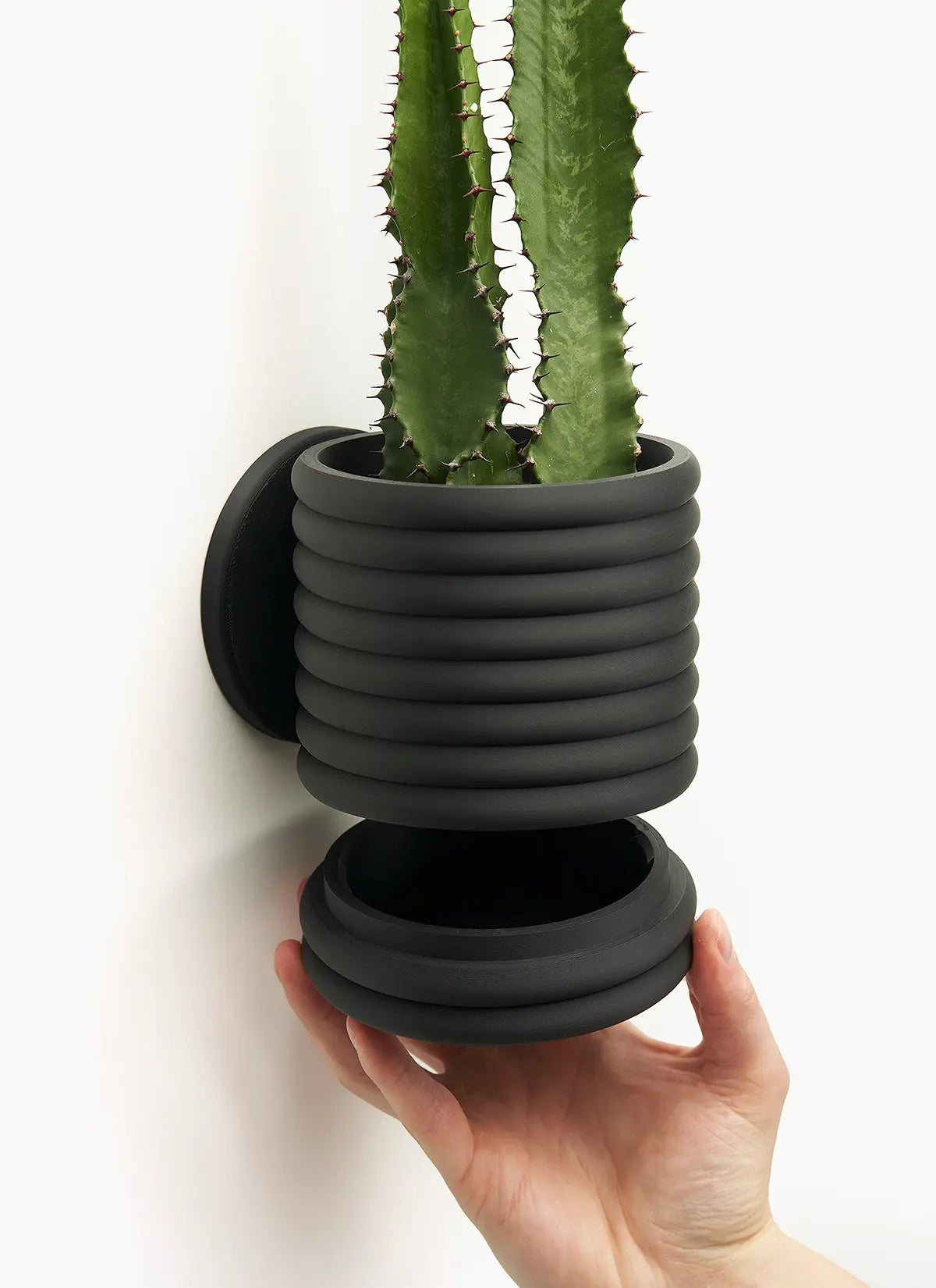 The Wall Poppy - LoftedGoods Wall Planter