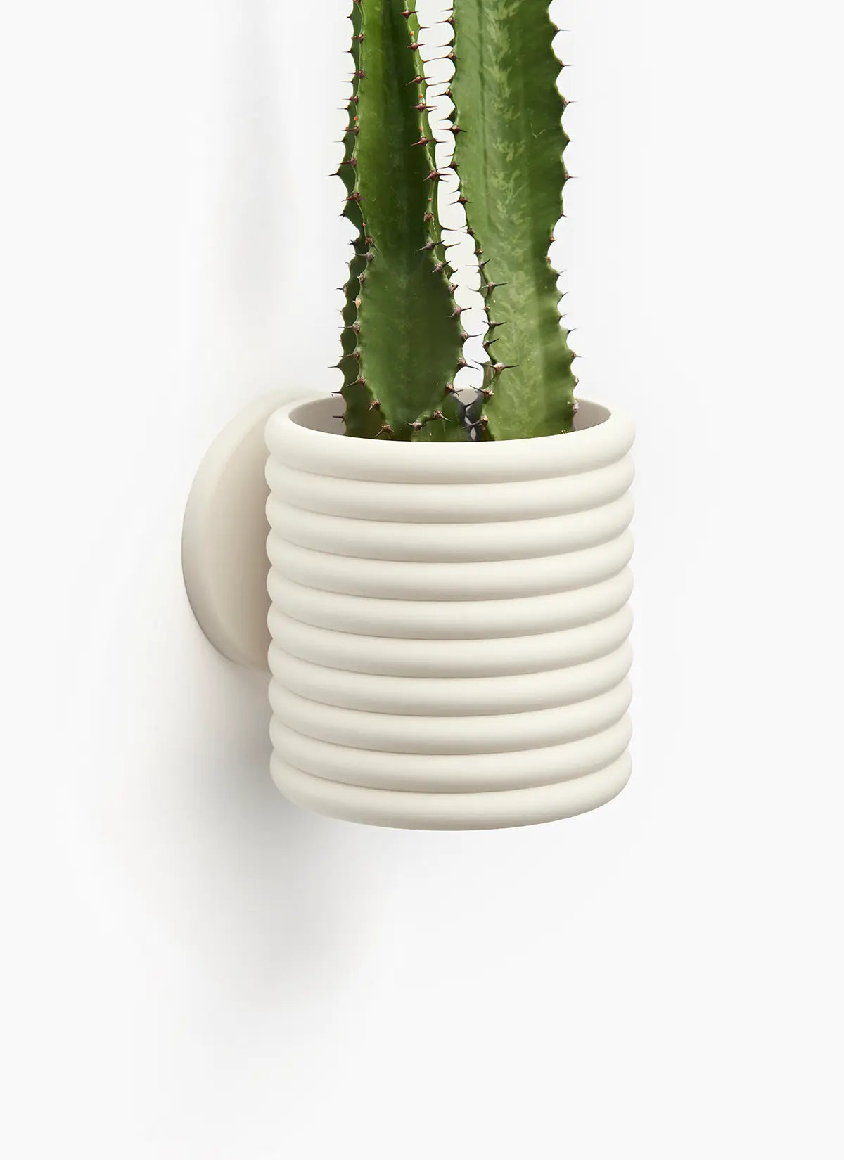 The Wall Poppy - LoftedGoods Wall Planter