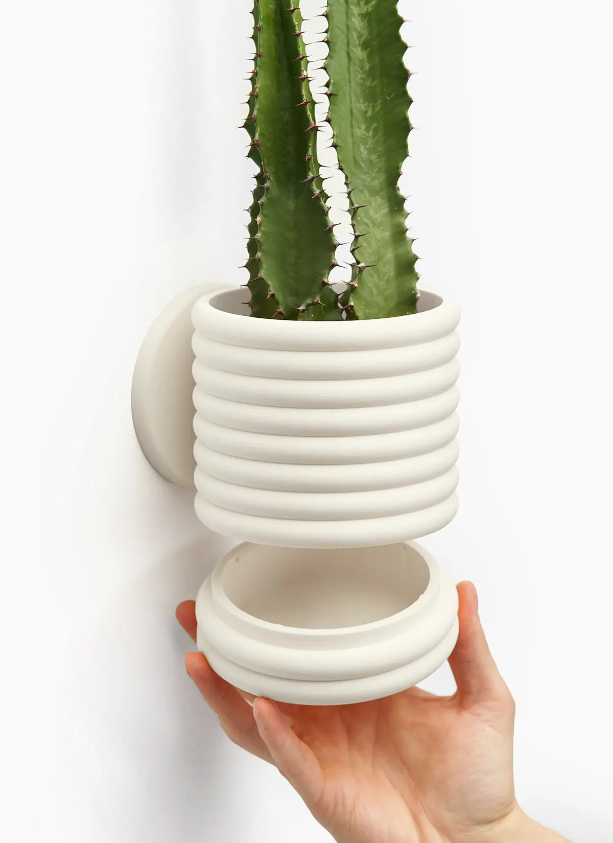 The Wall Poppy - LoftedGoods Wall Planter