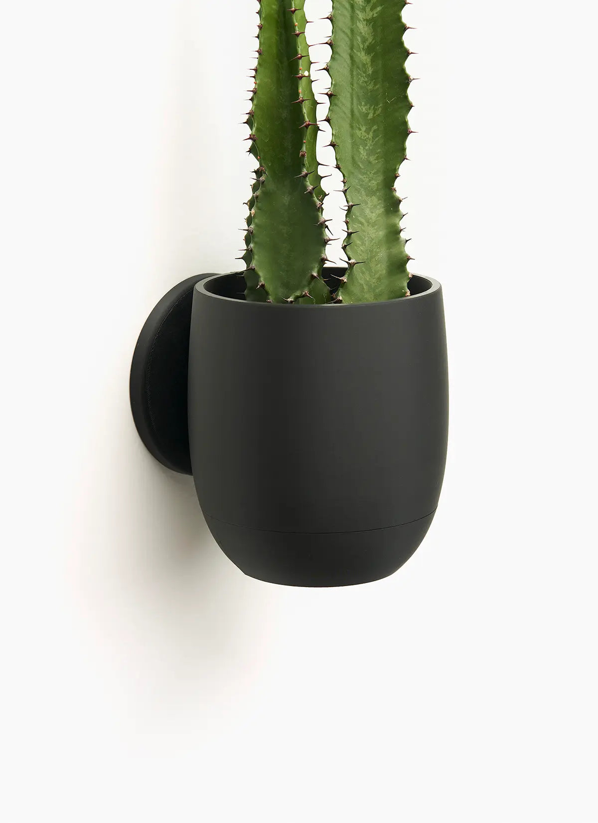 The Simple Planter - LoftedGoods Wall Planter