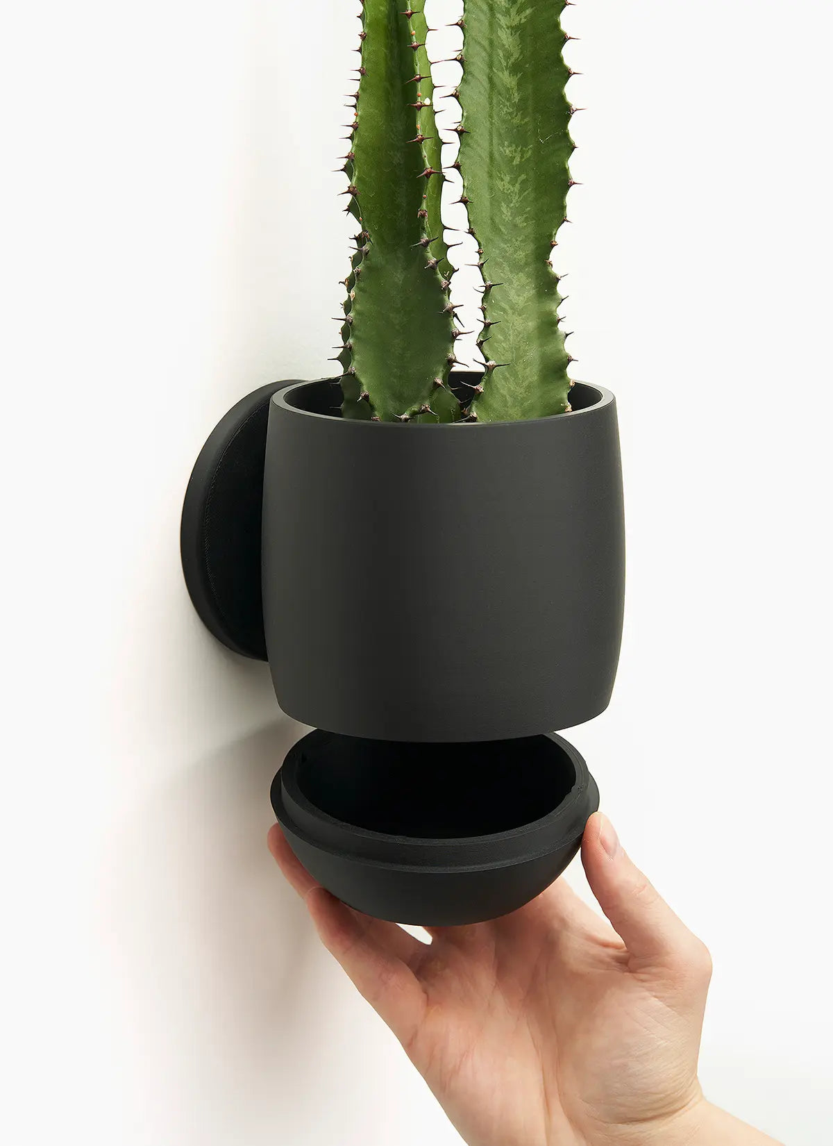 The Simple Planter - LoftedGoods Wall Planter