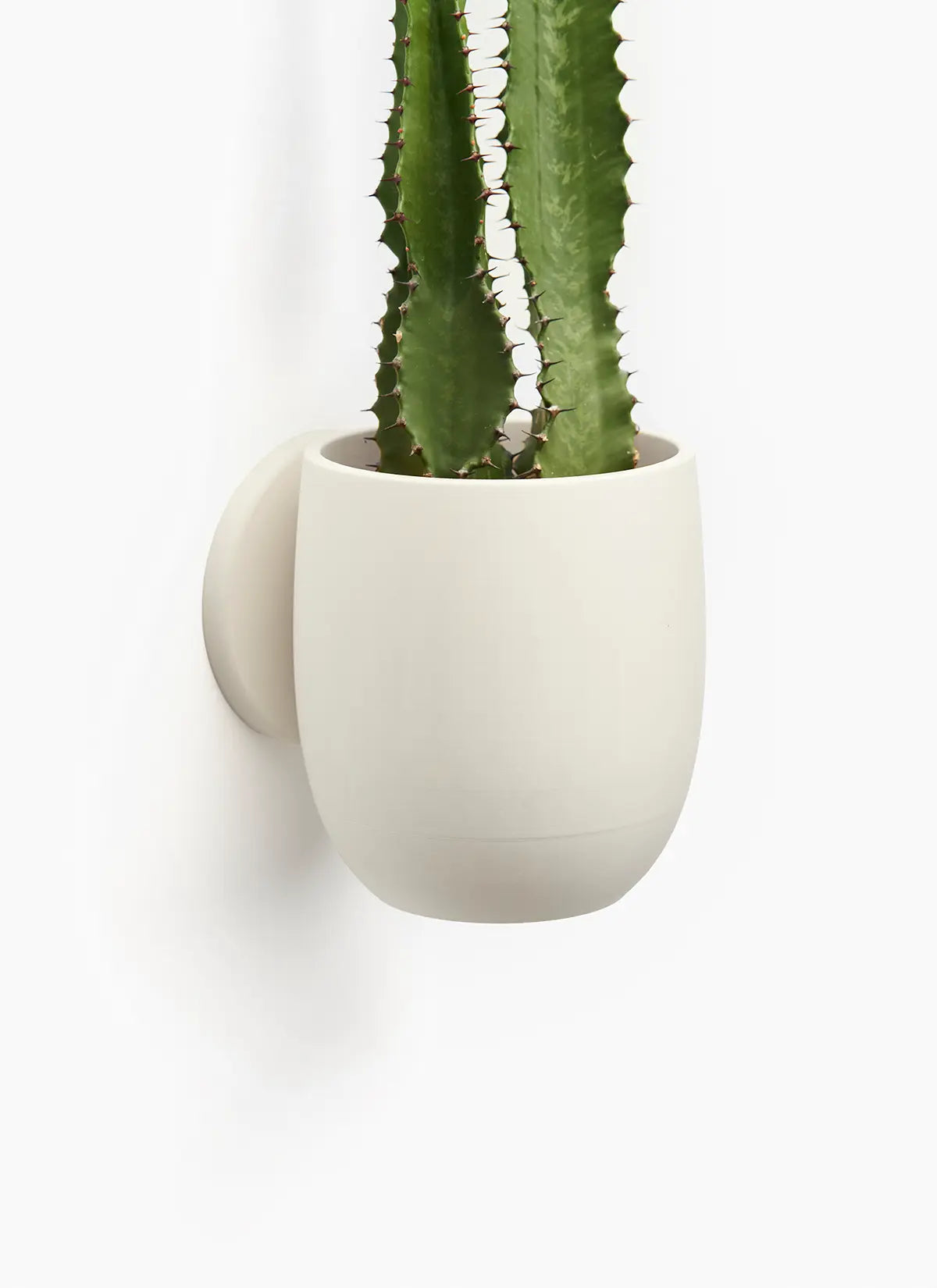 The Simple Planter - LoftedGoods Wall Planter