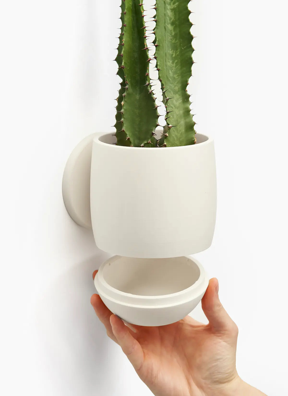 The Simple Planter - LoftedGoods Wall Planter