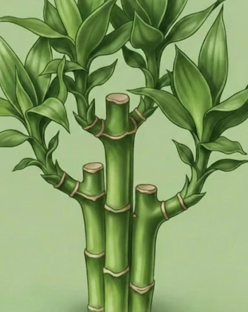 Illustration of green bamboo with a light green background