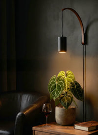 Large Aspect Grow Light