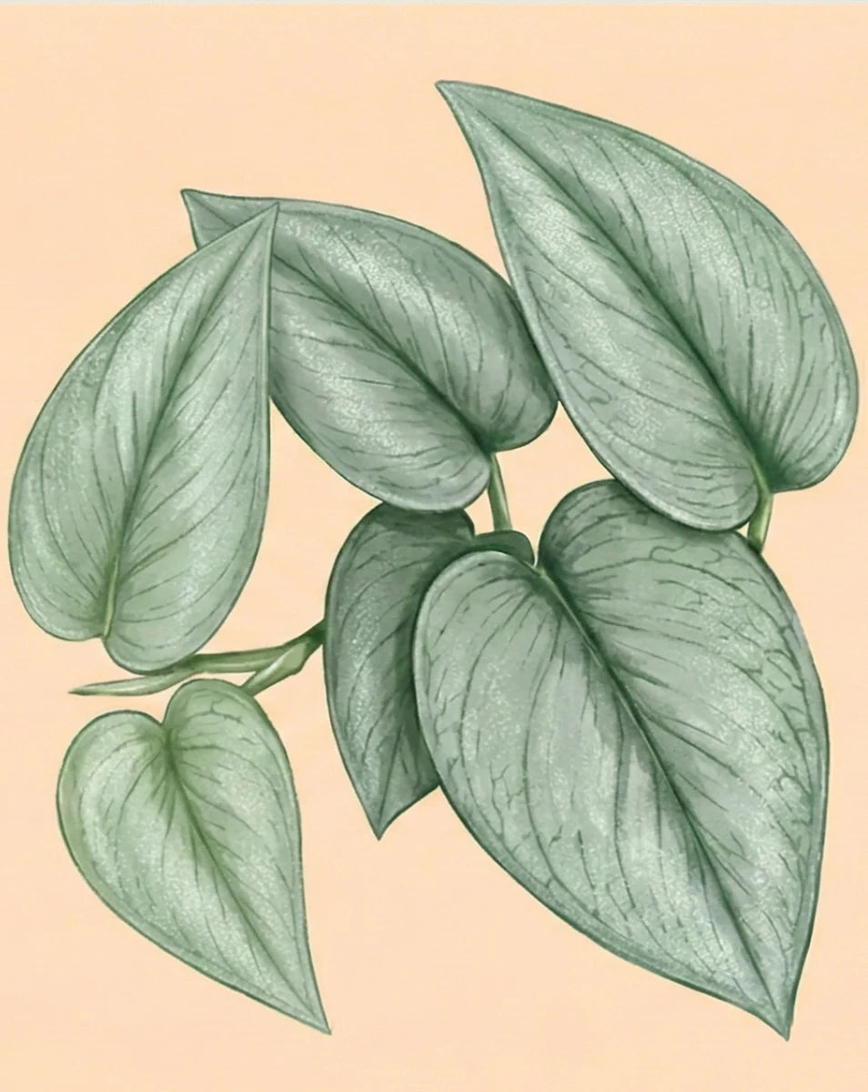 Illustration of green leaves on a beige background