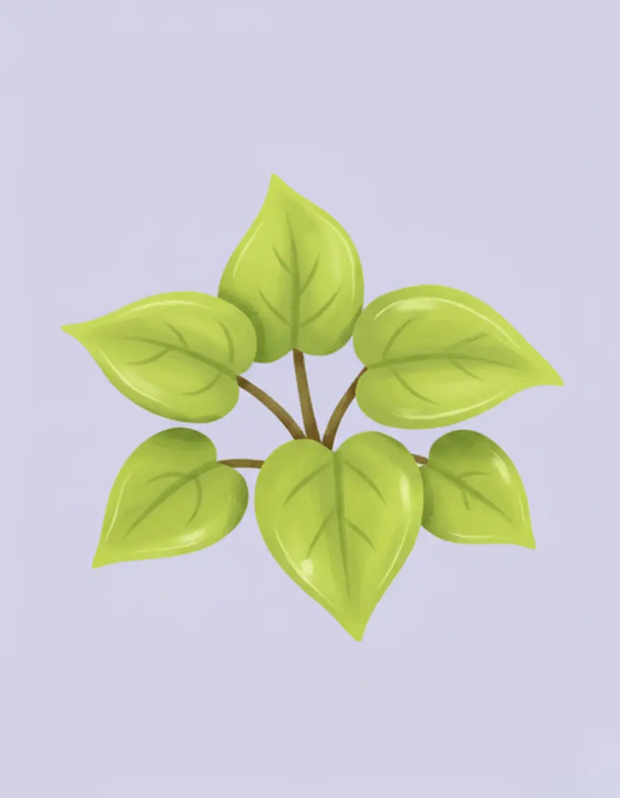 Illustration of a green leafy plant on a light purple background