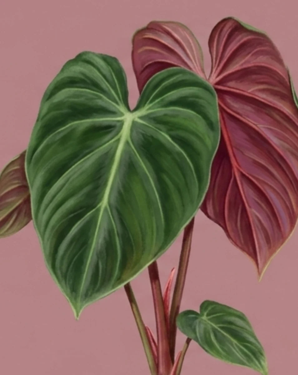 Artistic illustration of green and pink heart-shaped leaves on a pink background
