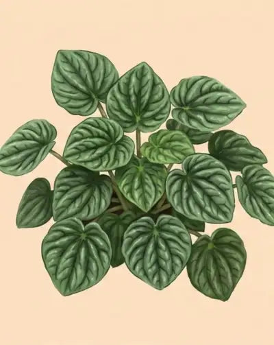 Illustration of green leaves on a beige background