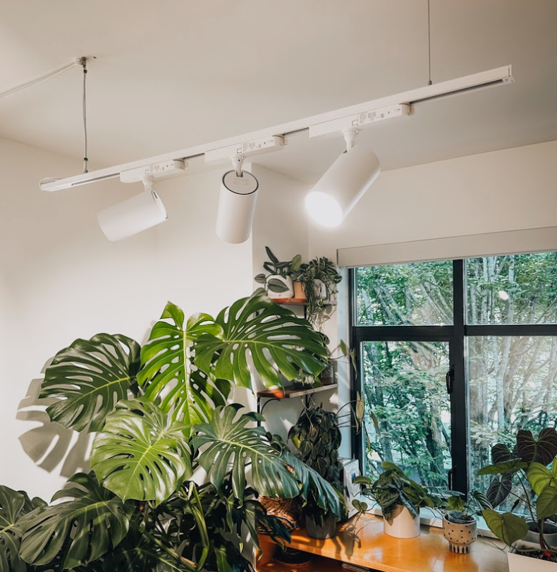 Soltech Grow Lights - Blends with Decor