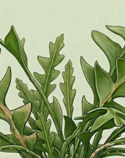 Illustration of green leaves on a light green background