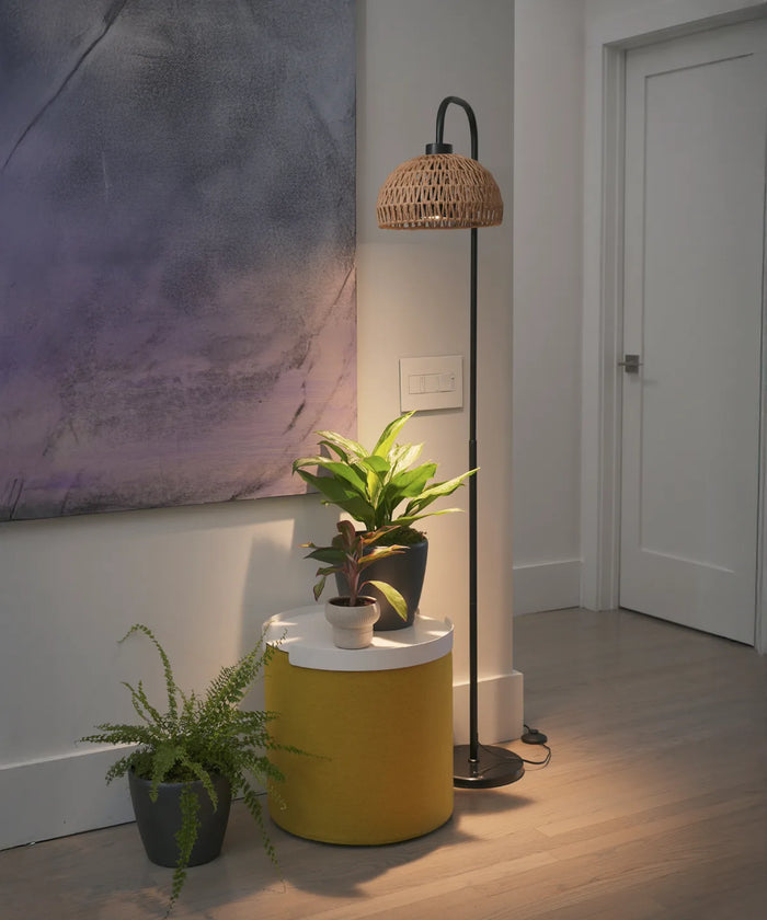Floor Lamps
