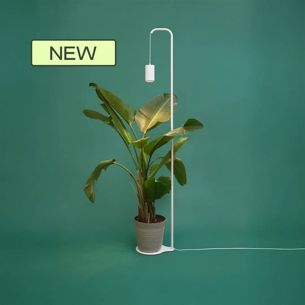 Indoor Plant Lighting For Home and Commercial Decor - Soltech