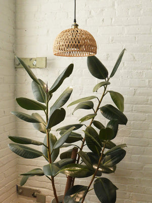 Close up of Walnut Soltech Verona lampshade over large plant