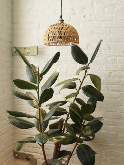 Close up of Walnut Soltech Verona lampshade over large plant