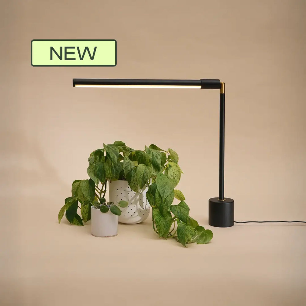 Indoor Plant Lighting For Home and Commercial Decor - Soltech
