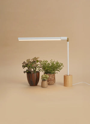 Versa™ Tabletop Grow Light